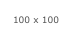 100 x 100