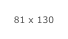 81 x 130