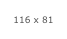 116 x 81