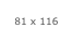 81 x 116