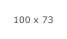 100 x 73