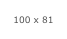100 x 81