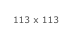 113 x 113