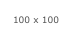 100 x 100
