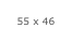 55 x 46