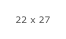 22 x 27